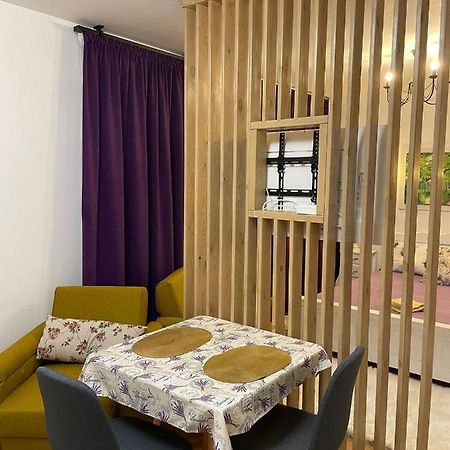 Apartament Gabriela 39 Baia Mare Ngoại thất bức ảnh