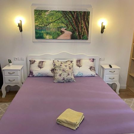 Apartament Gabriela 39 Baia Mare Ngoại thất bức ảnh