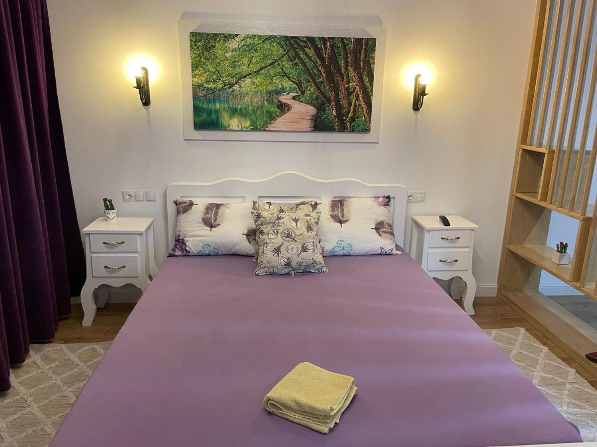 Apartament Gabriela 39 Baia Mare Ngoại thất bức ảnh