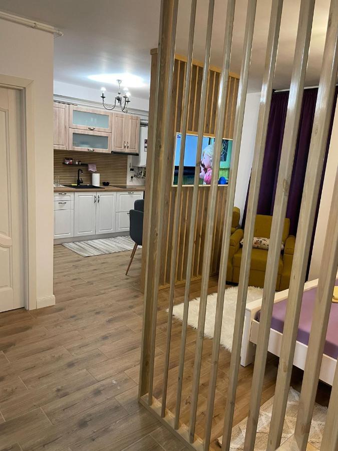 Apartament Gabriela 39 Baia Mare Ngoại thất bức ảnh