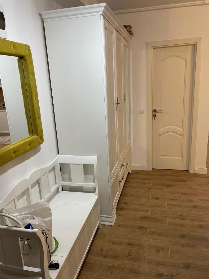 Apartament Gabriela 39 Baia Mare Ngoại thất bức ảnh