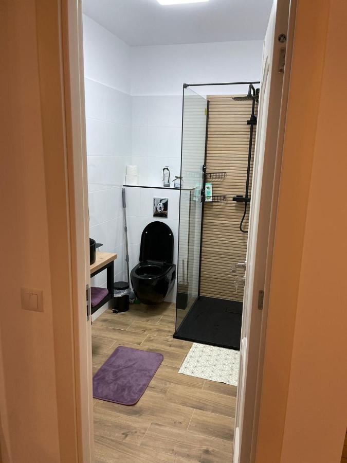 Apartament Gabriela 39 Baia Mare Ngoại thất bức ảnh
