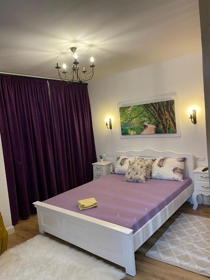 Apartament Gabriela 39 Baia Mare Ngoại thất bức ảnh
