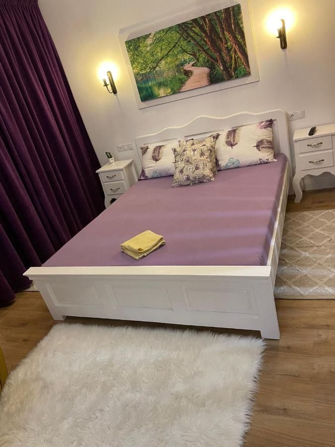 Apartament Gabriela 39 Baia Mare Ngoại thất bức ảnh