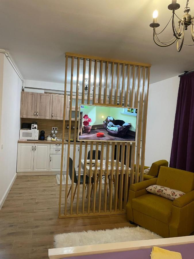 Apartament Gabriela 39 Baia Mare Ngoại thất bức ảnh