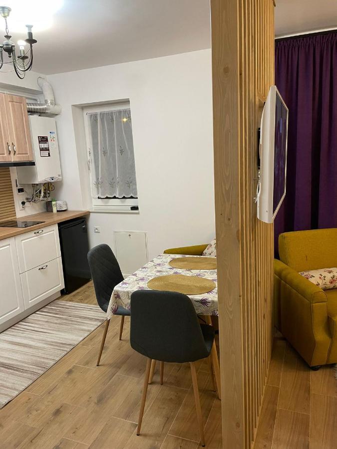 Apartament Gabriela 39 Baia Mare Ngoại thất bức ảnh