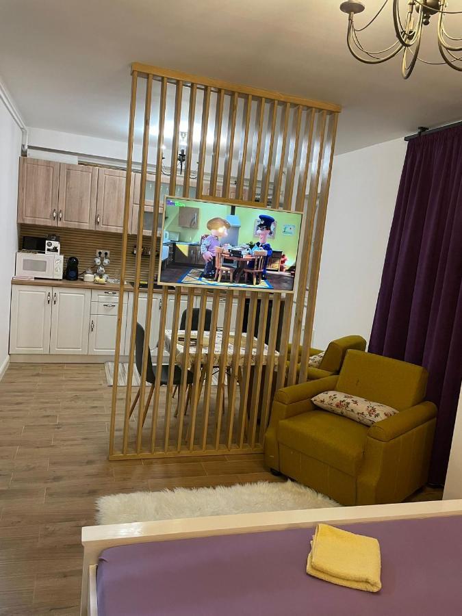 Apartament Gabriela 39 Baia Mare Ngoại thất bức ảnh