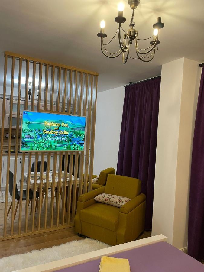 Apartament Gabriela 39 Baia Mare Ngoại thất bức ảnh