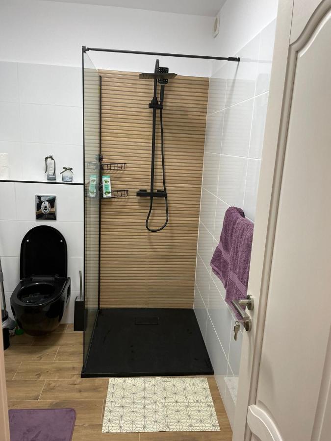 Apartament Gabriela 39 Baia Mare Ngoại thất bức ảnh